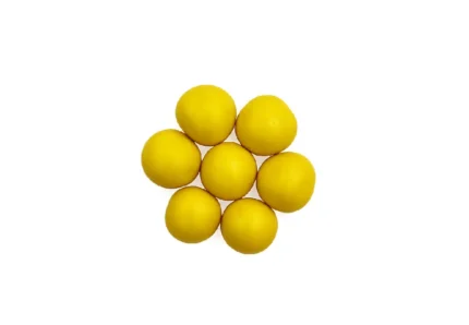 Yuzu Lemon Caramel Chocolates