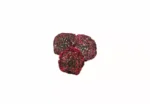 Dried Dragon Fruit | Yumino Canada