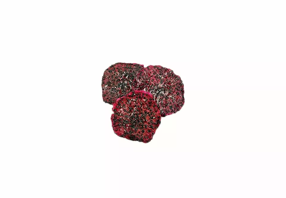 yumino-4-6a12379fc9f98 Dried Dragon Fruit | Yumino Canada