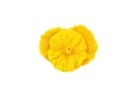 Dried Pineapple Slices - Image 2