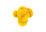 Dried Pineapple Slices